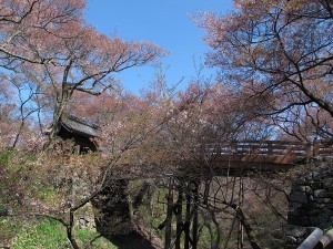 高遠城址-1.jpg