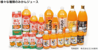 えひめのみかん-1.jpg
