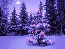 クリスマス-1.jpg