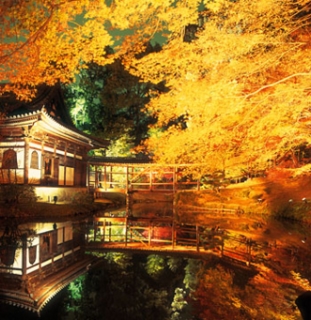 京都-紅葉-2.jpg