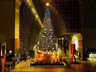 京都駅ビルクリスマスイルミネーション-1.jpg