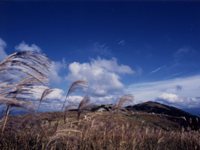 和歌山-生石高原-1.jpg
