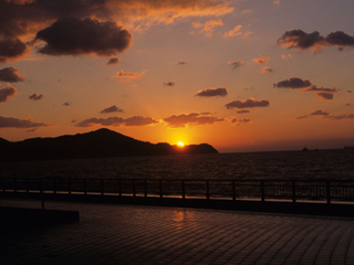 和歌山県-和歌山市-7.jpg