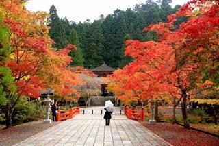 和歌山県-高野町-2.jpg