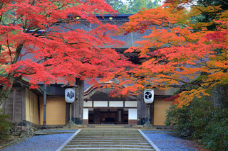 和歌山県-高野町-6.jpg