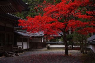 和歌山県-高野町-7.jpg