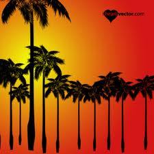 夏-13.jpg