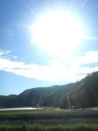夏-18.jpg