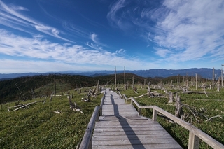 大台ケ原-1.jpg