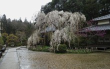 大野寺-1.jpg