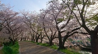 大阪府-高槻市-玉川の里-1.jpg