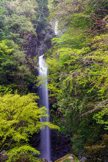 宮ノ滝-1.jpg