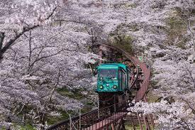 宮城県-柴田郡大河原町-船岡城址-1.jpg