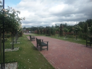浜寺公園-4.jpg
