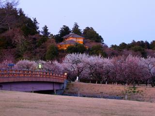 茨城県-水戸市-偕楽園-2.jpg
