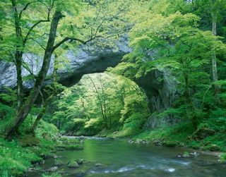 雄橋-1.jpg
