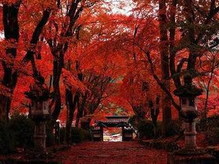 高源寺-1.jpg