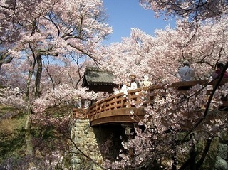 高遠城址-1.jpg