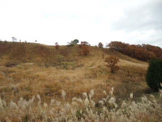 鳥取-大山-3.jpg