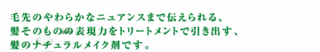 REMU-1_img.gif
