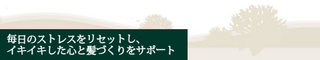 Reshtive-2.jpg
