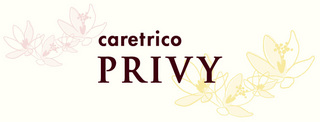 caretrico-PRIVY-1.jpg
